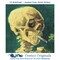 Orenco Originals Vincent Van Gogh Cigarette Smoking Skull Counted Cross Stitch Pattern